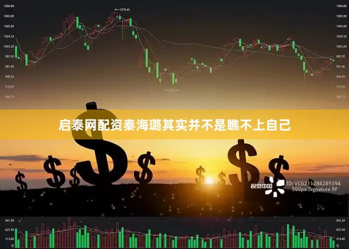 启泰网配资秦海璐其实并不是瞧不上自己