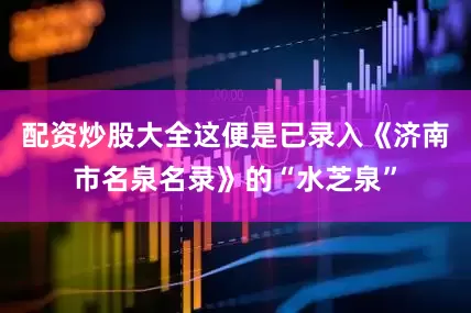 配资炒股大全这便是已录入《济南市名泉名录》的“水芝泉”