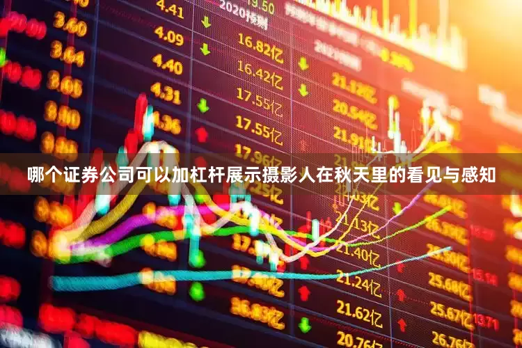 哪个证券公司可以加杠杆展示摄影人在秋天里的看见与感知