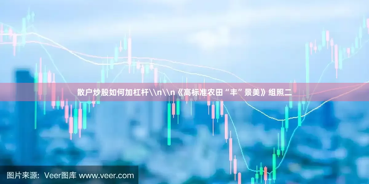 散户炒股如何加杠杆\n\n《高标准农田“丰”景美》组照二