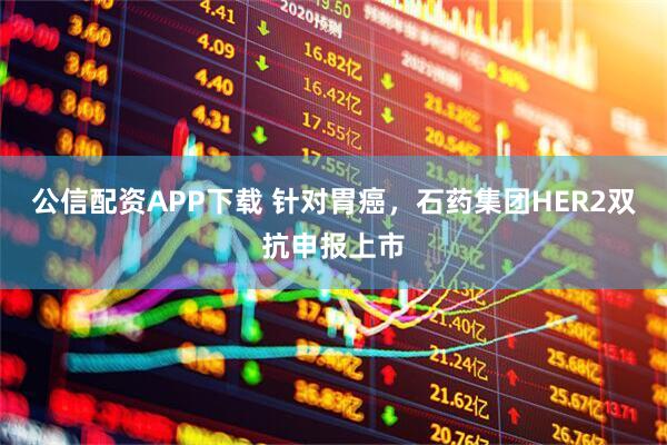 公信配资APP下载 针对胃癌，石药集团HER2双抗申报上市