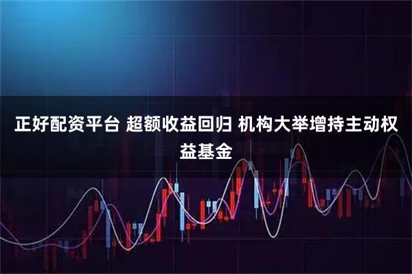 正好配资平台 超额收益回归 机构大举增持主动权益基金