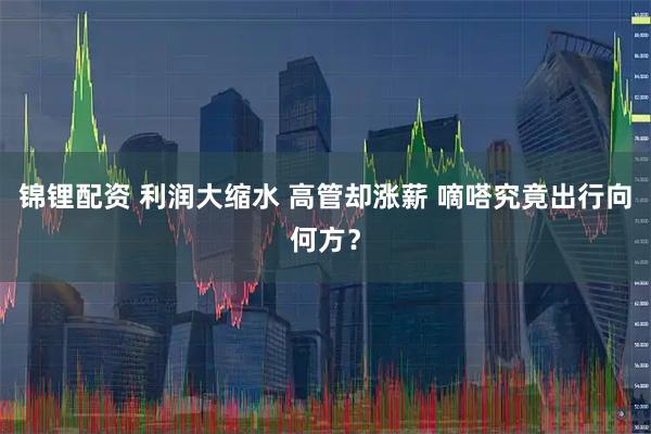 锦锂配资 利润大缩水 高管却涨薪 嘀嗒究竟出行向何方？